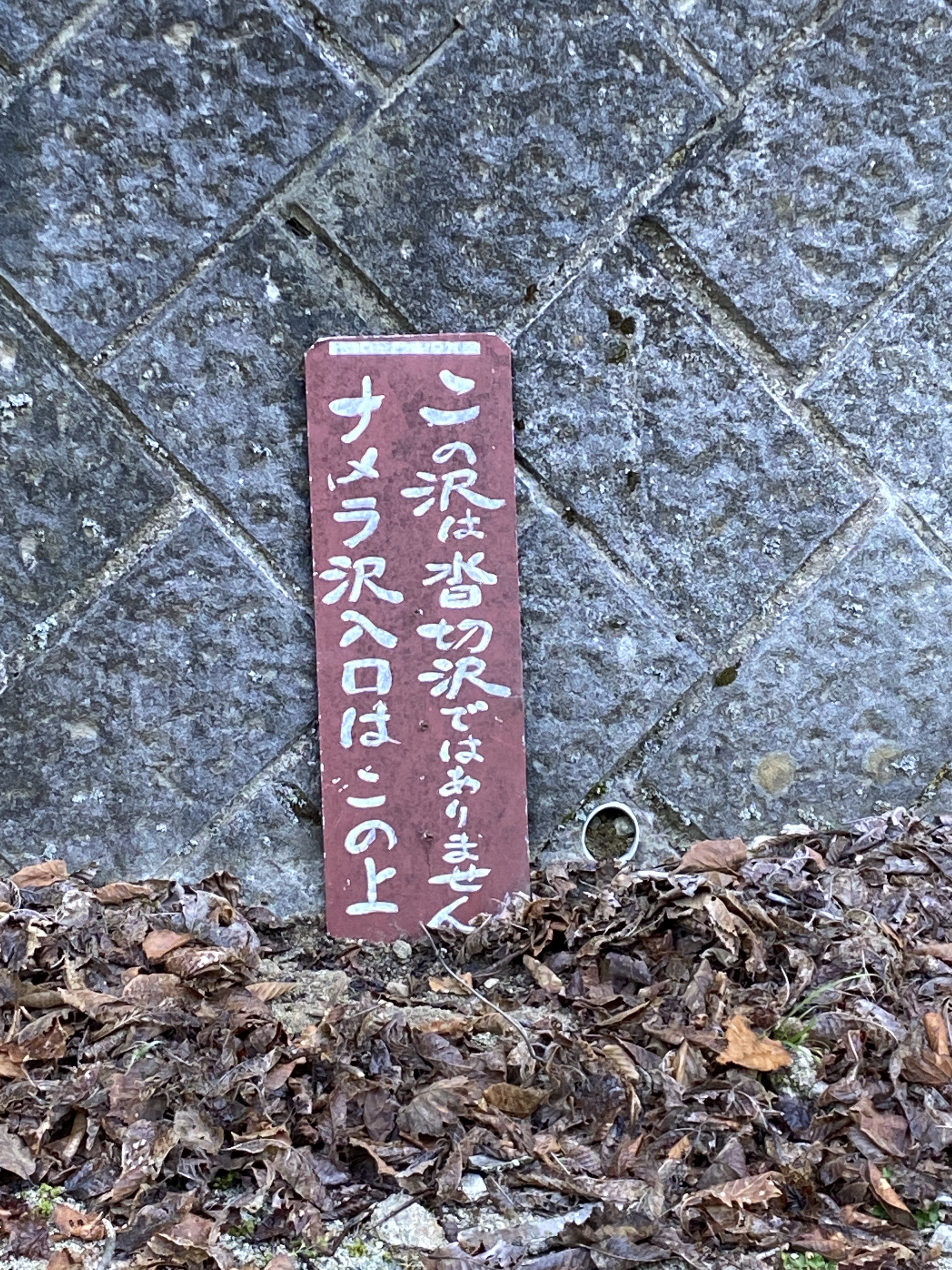 97327E4A-0D1C-4280-92FB-FCF53DA2F025